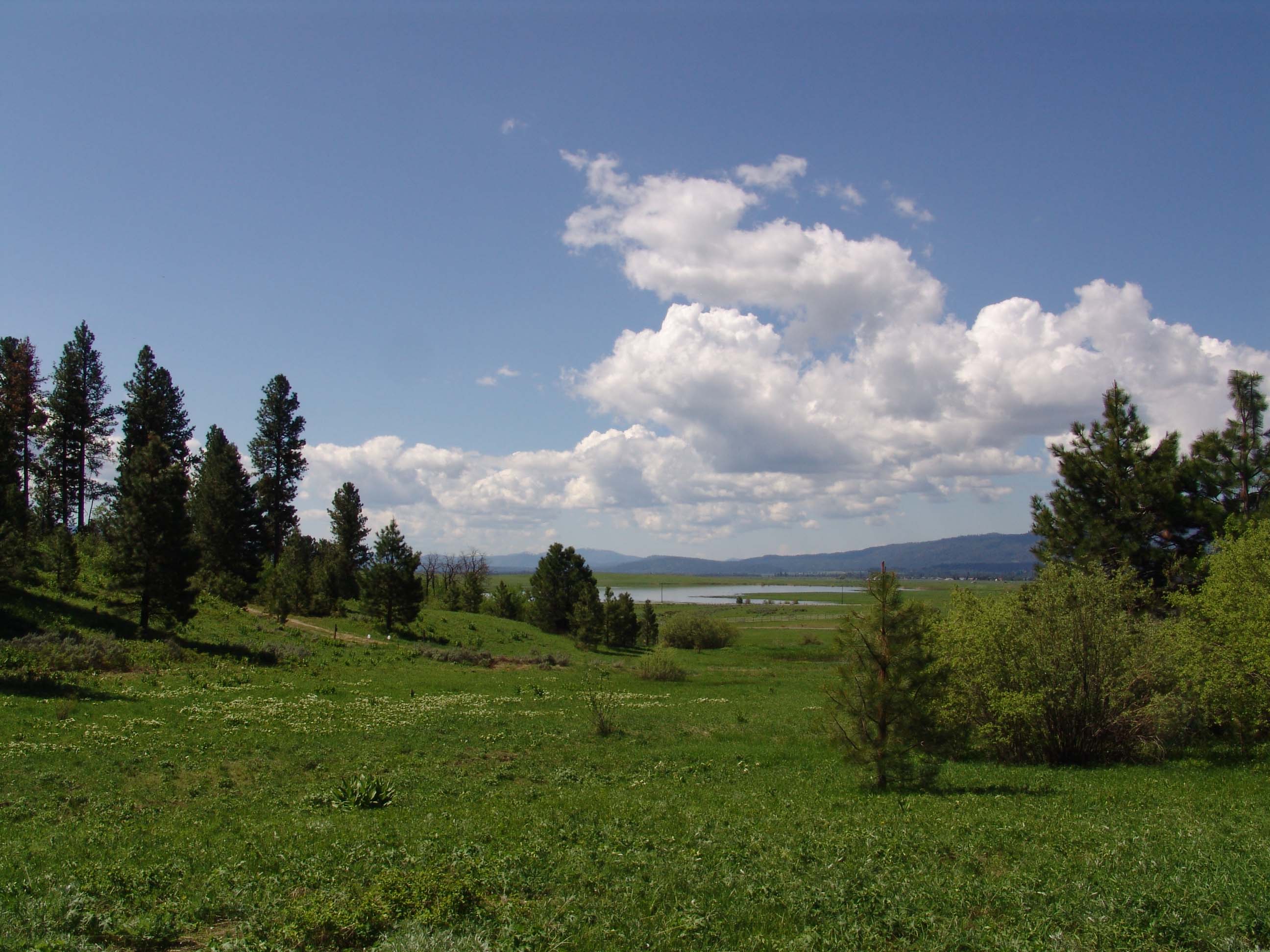 Cascade Lake Realty Eagle Nest Area